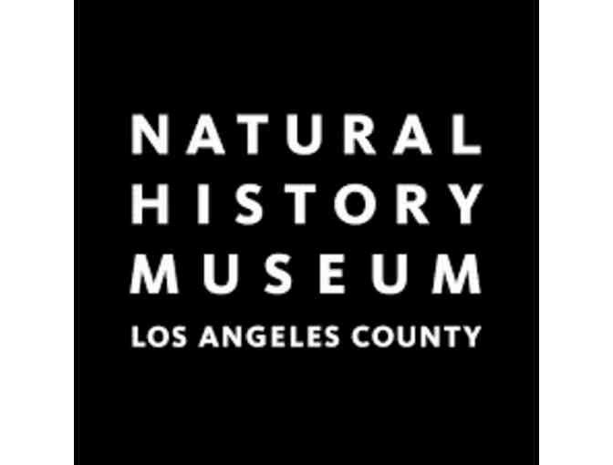 Natural History Museum Passes - 4 guest passes valued at $48