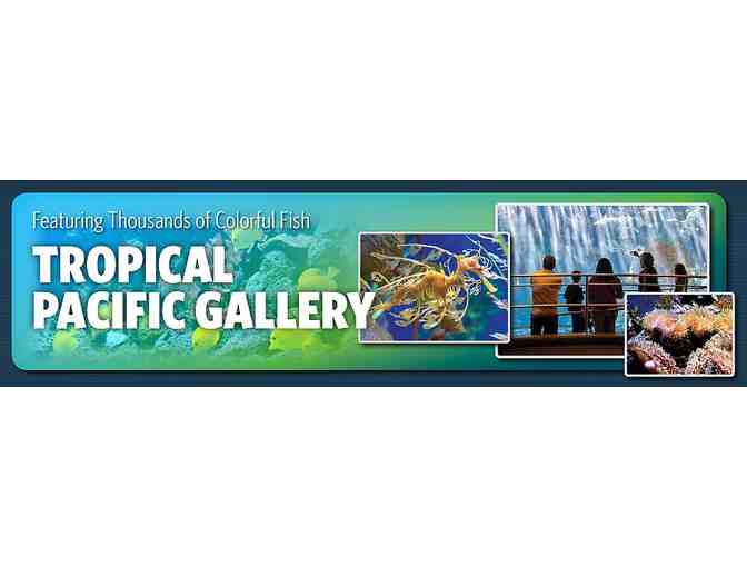 Aquarium of the Pacific - Admission for Two valued at $60