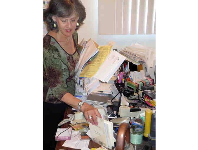 Organizing Services with Professional Organizer, Janet Fishman - 2 hours valued at $200