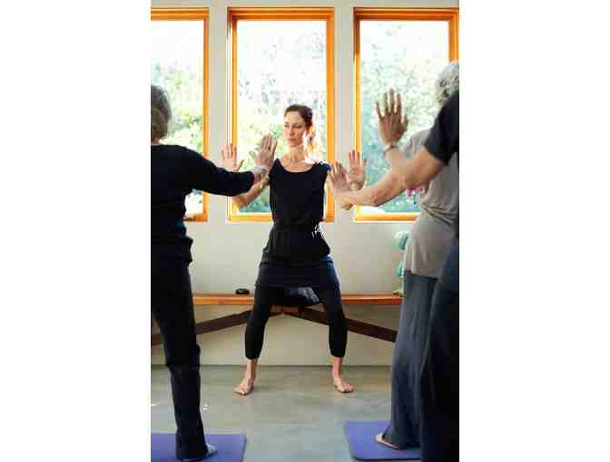 Experience: HeartMind T'ai Chi Qigong Workshop with Waverly Parent, Trace Konerko