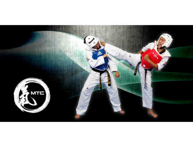 Master's Taekwondo Club 1-month Membership