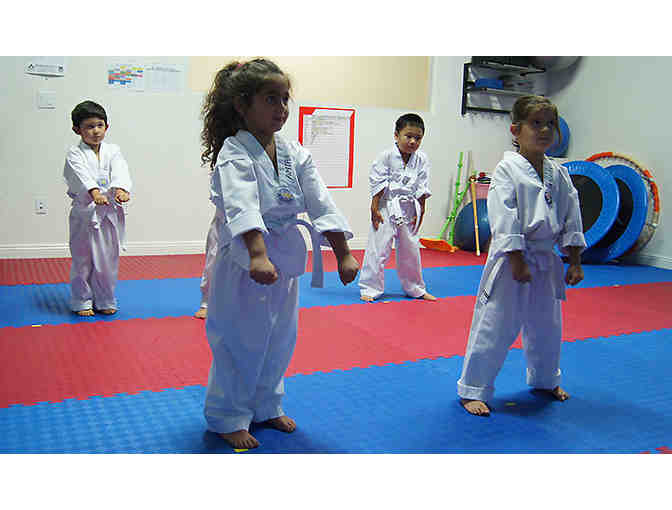 Master's Taekwondo Club 1-month Membership