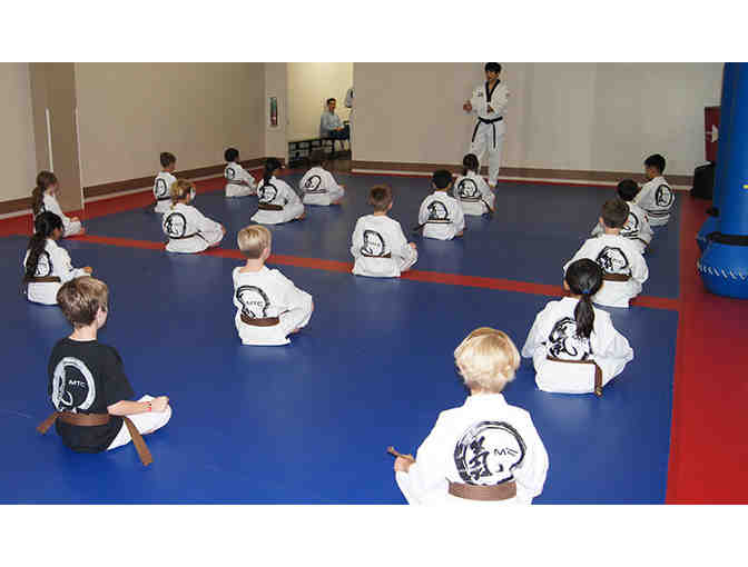 Master's Taekwondo Club 1-month Membership