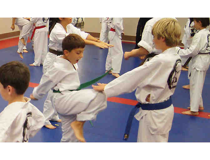 Master's Taekwondo Club 1-month Membership