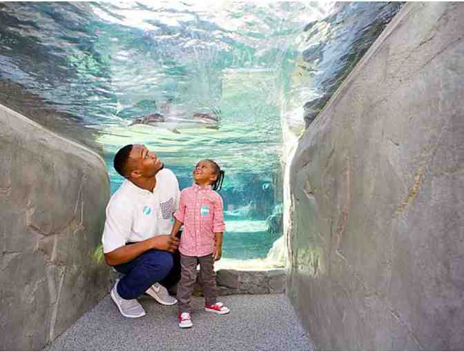 Aquarium of the Pacific - Admission for Two