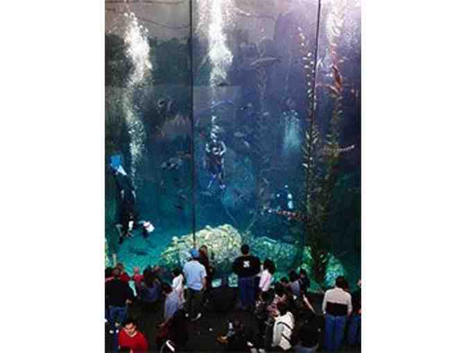 Aquarium of the Pacific - Admission for Two