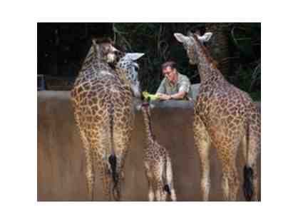 Animal Nutrition Experience with Los Angeles Zoo's Animal Nutritionist, Emily Schwartz