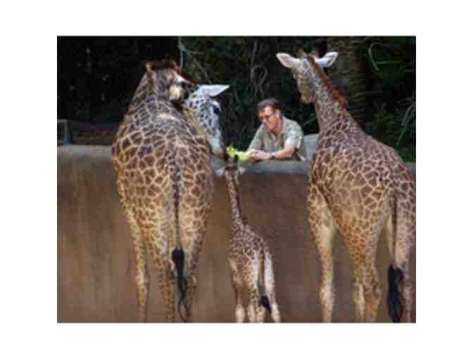 Animal Nutrition Experience with Los Angeles Zoo's Animal Nutritionist, Emily Schwartz - Photo 1