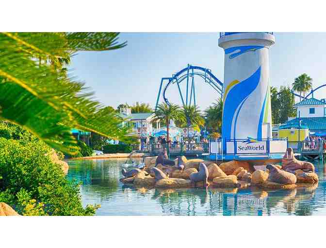 Sea World San Diego  - 4 single-day admission tickets valued at $372
