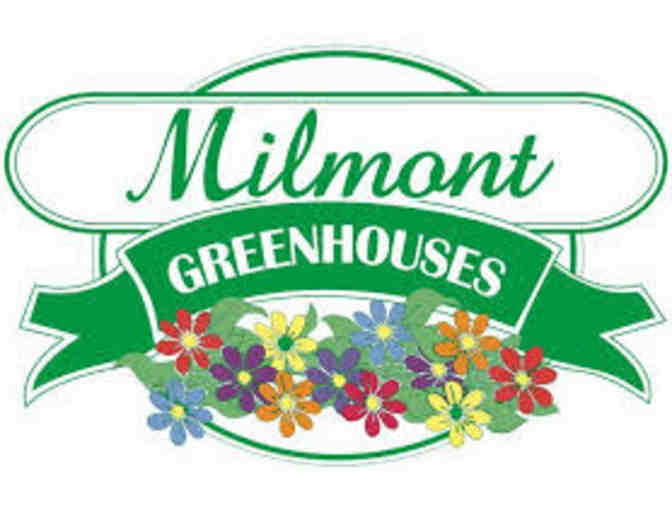 $20 Milmont Greenhouses Gift Card