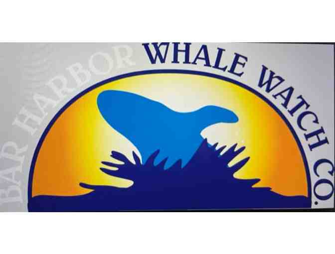 Bar Harbor Whale Watch Company Nature Cruise - Photo 1