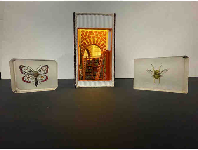 Beautiful booknook and mechanical resin insects package