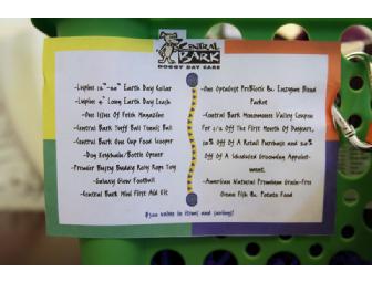 Central Bark Doggy Day Care Gift Basket