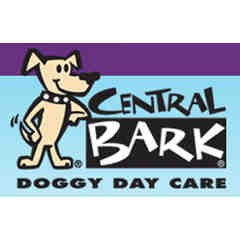 Central Bark Doggy Day Care