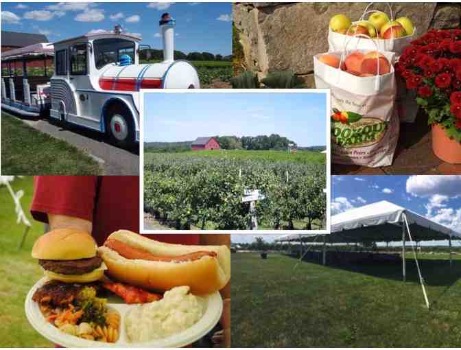 4 Day Passes to Belkin Family Lookout Farm