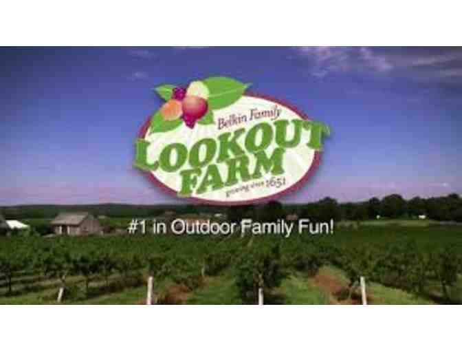 4 Day Passes to Belkin Family Lookout Farm