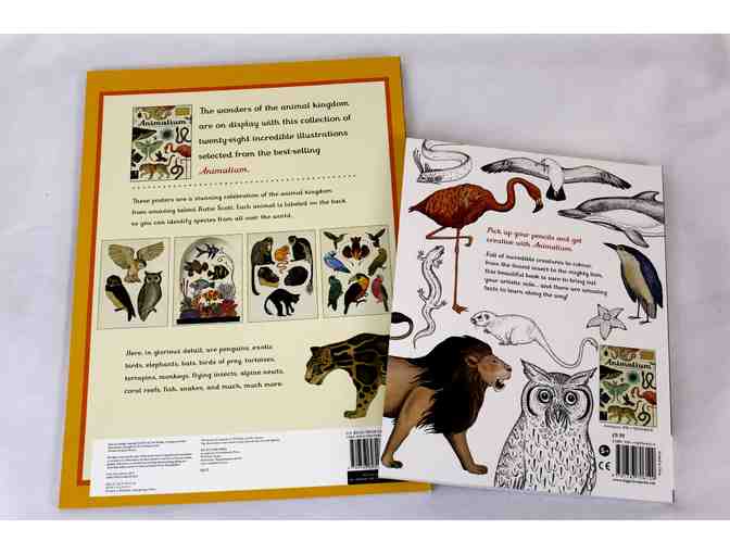 Animalium Book Set