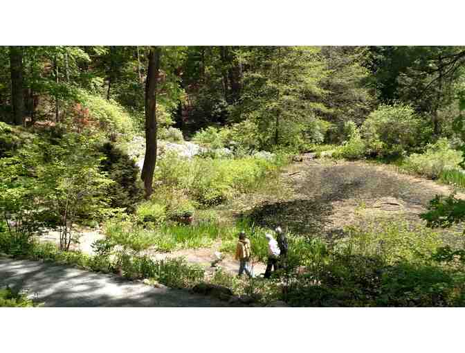 New England Wild Flower Society Garden in The Woods -4 Admission Passes