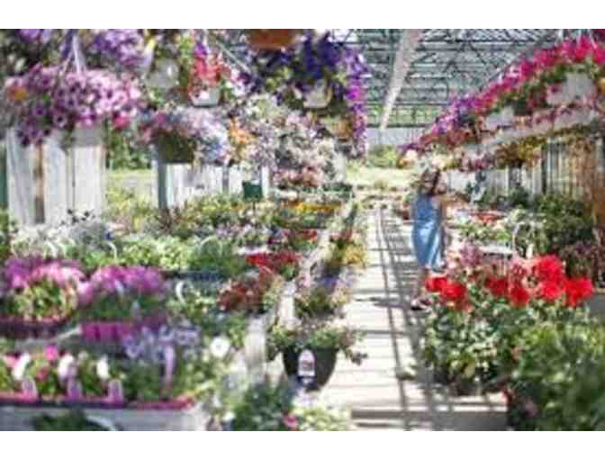 Mahoney's Garden Center $25 Gift Certificate