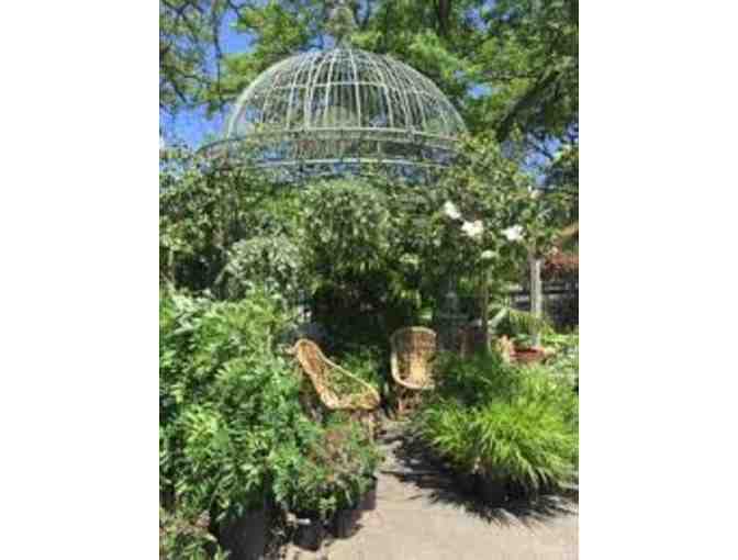 Mahoney's Garden Center $25 Gift Certificate