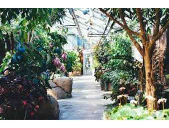 Mahoney's Garden Center $25 Gift Certificate