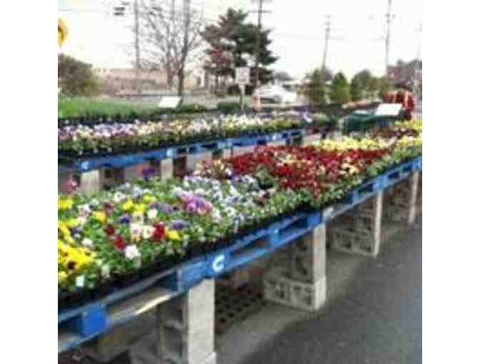 Russo's - $25 Gift Card