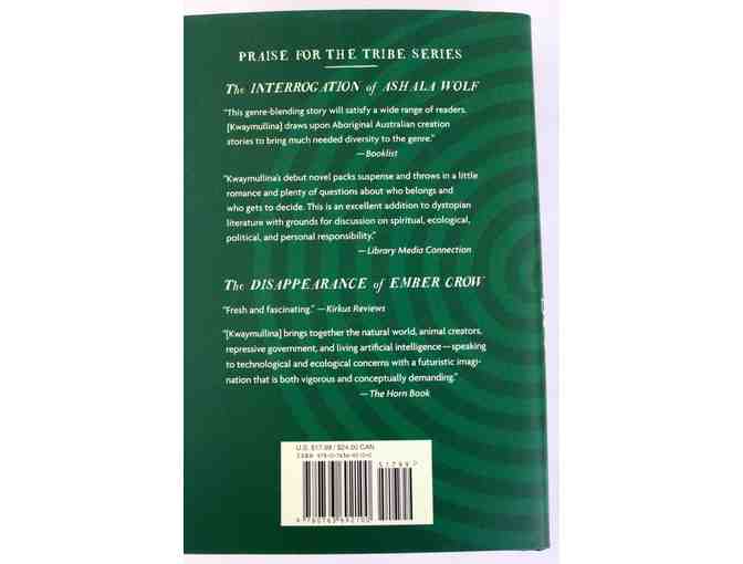 Young Adult Hardcover Books, 2 pack