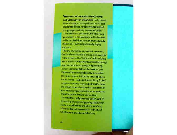 Young Adult hardcover books, 3 pack