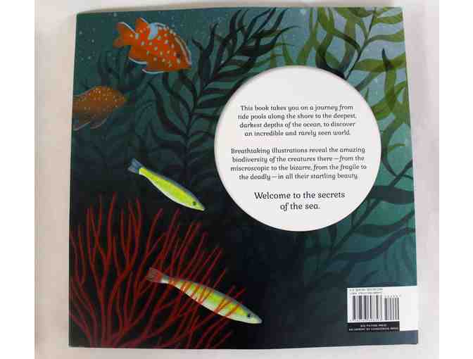 Ocean Theme Hardcover Books, 2 pack