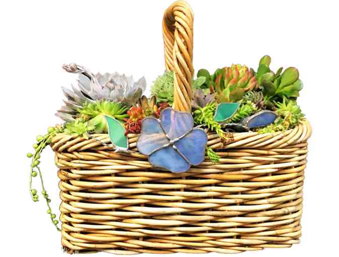 Succulent Arrangement - Basket