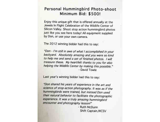 Donald Jedlovec Photography: Personal Hummingbird Photoshoot