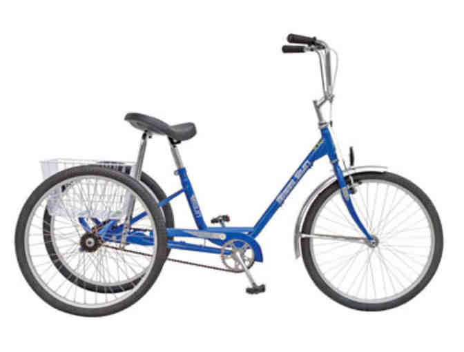Summit Adult Trike (Tricycle) 3 Wheeler in Placid Blue