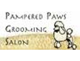 Pampered Paws gift certificate