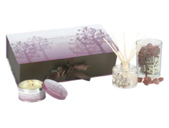 Tonka Bean Fig Candle Travel Set from Ivelis Home
