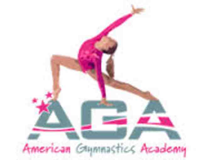 American Gymnastics Academy (Signal Hill, CA) Birthday Party for 10