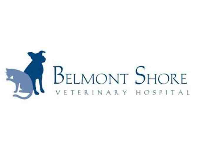 Pamper Your Pet Package - Belmont Shore Veterinarian & LaunderPet GC