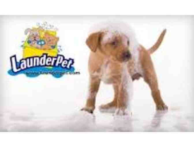 Pamper Your Pet Package - Belmont Shore Veterinarian & LaunderPet GC