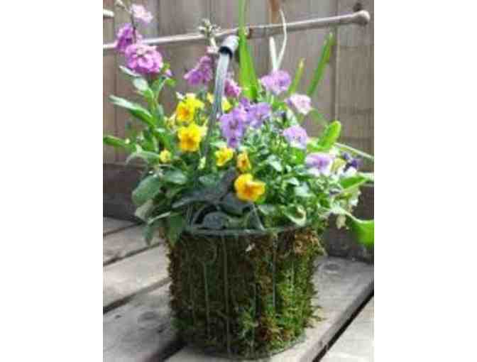 Seasonal Planted Urns from a Blade of Grass