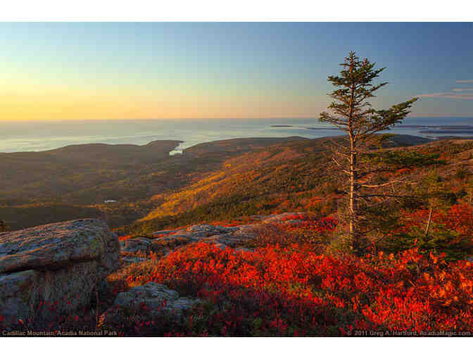 An Enchanting Week in Coastal Maine