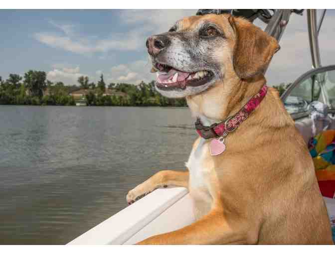 Summer Day of Waterskiing, Wakeboarding and Kneeboarding at the O'Shaugnessy Reservoir