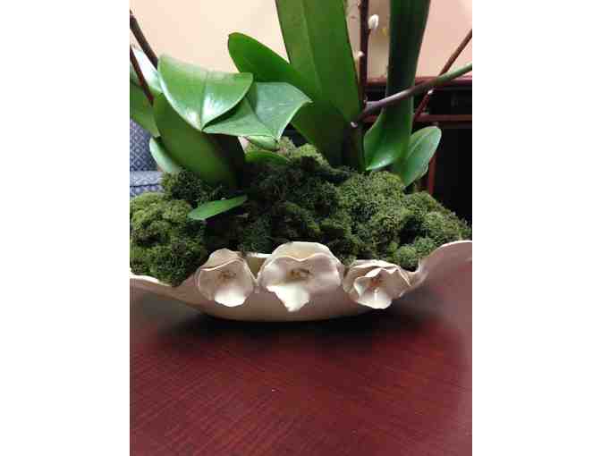 Orchid Planter with Flower