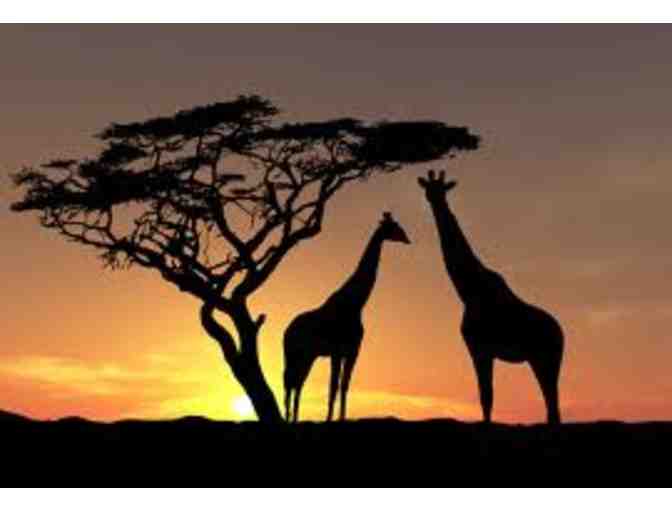 2 Business Class Turkish Airlines Tickets to Africa