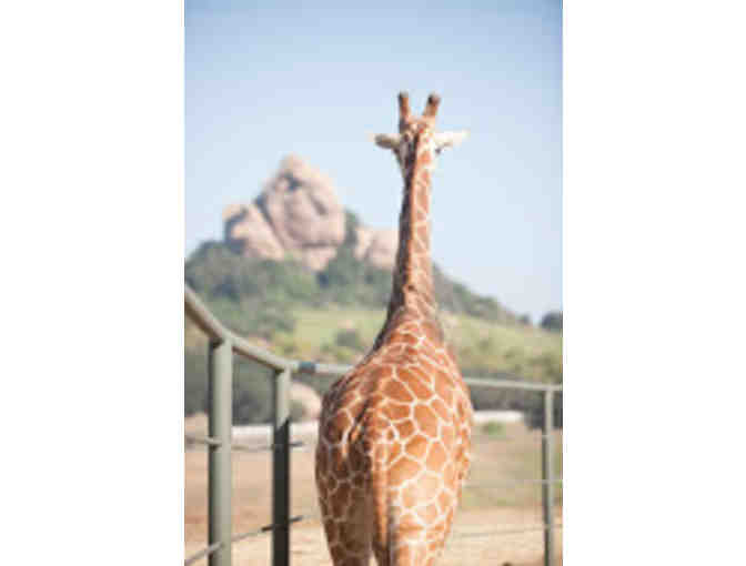 Malibu Wine Explorer Giraffe Safari for Two