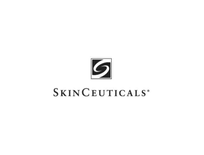SkinCeuticals Gift Bag
