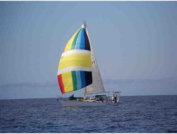 Four-Hour Sail Around Santa Monica Bay and Lunch for Up to Five People