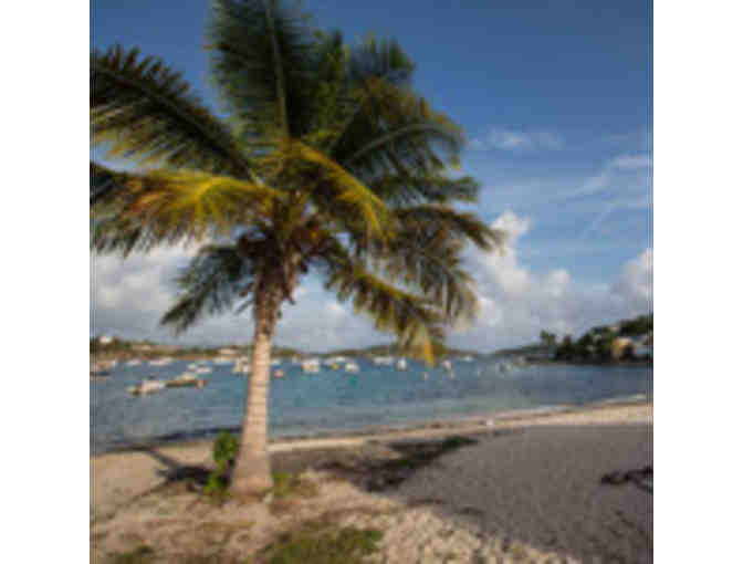Virgin Islands - 3 BR Condo for 1 Week in St. Thomas, USVI