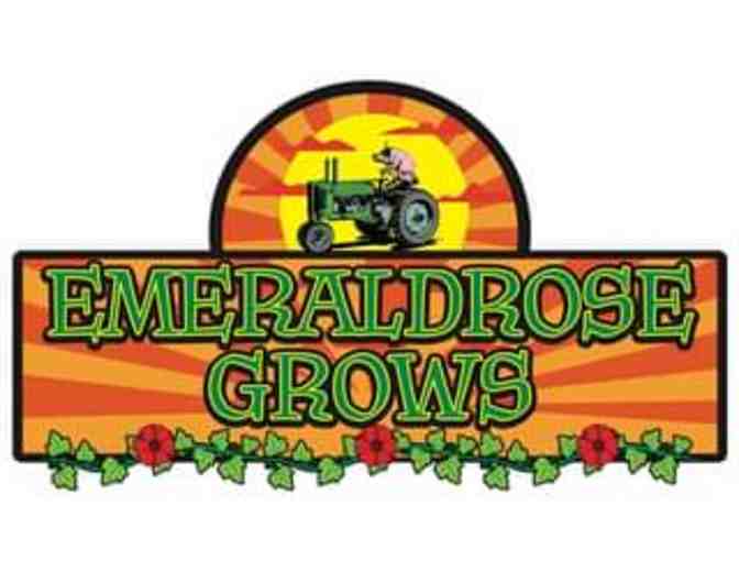 $50 Gift Certificate to Emeraldrose Grows - Photo 1
