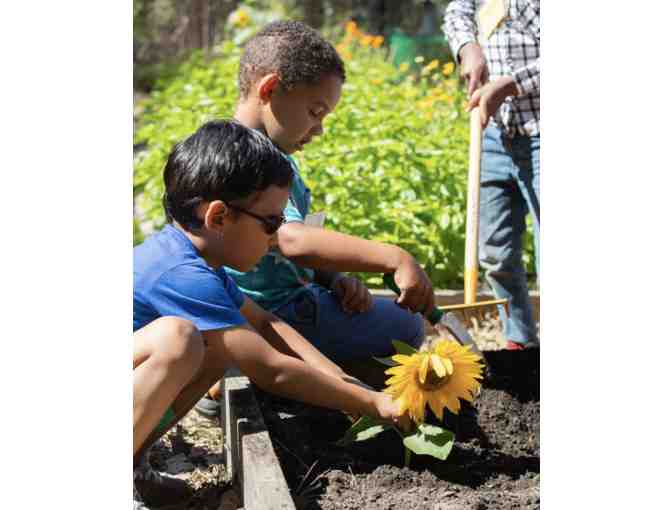 Shelburne Farms One-Year Family Membership