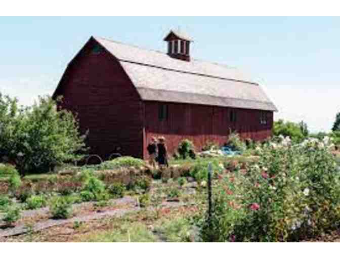 $100 Gift Certificate to Diddle and Zen Flowers