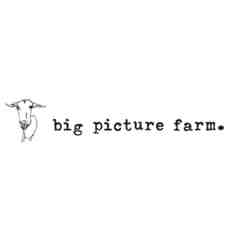 Big Picture Farm